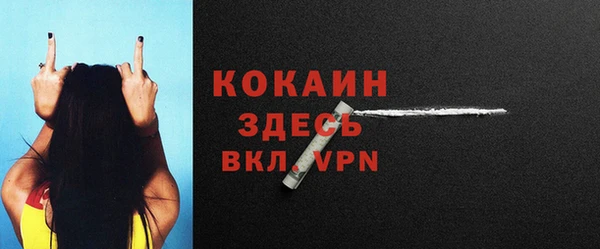 дурь Заводоуковск