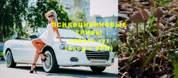 эйфоретик Заволжье