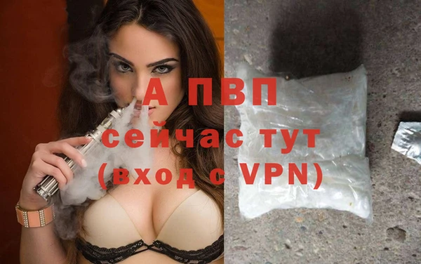 гидра Заволжск