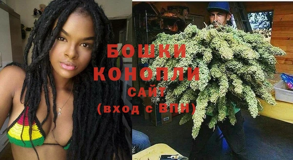 гидра Заволжск