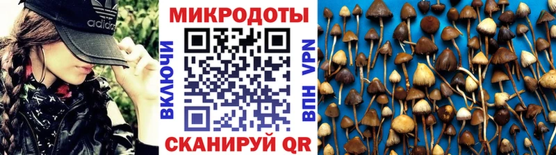 Псилоцибиновые грибы прущие грибы  Купить  Дубна 