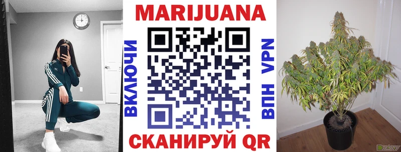 Бошки Шишки THC 21%  Купить закладки  Дубна 